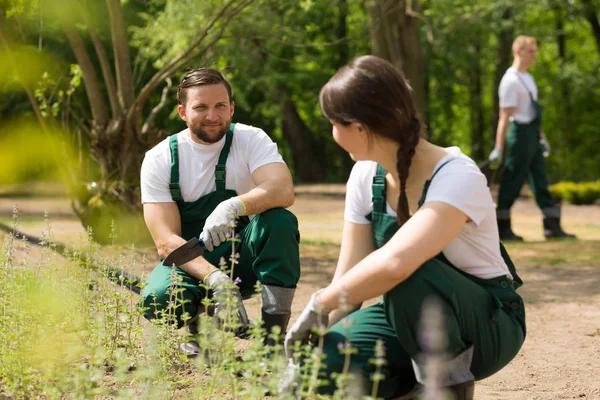 The Benefits of Professional Landscaping in Skokie