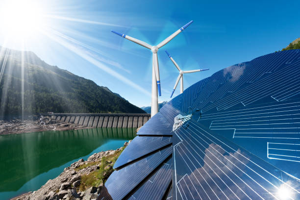 Choose the Best Solar Companies for a Sustainable Future