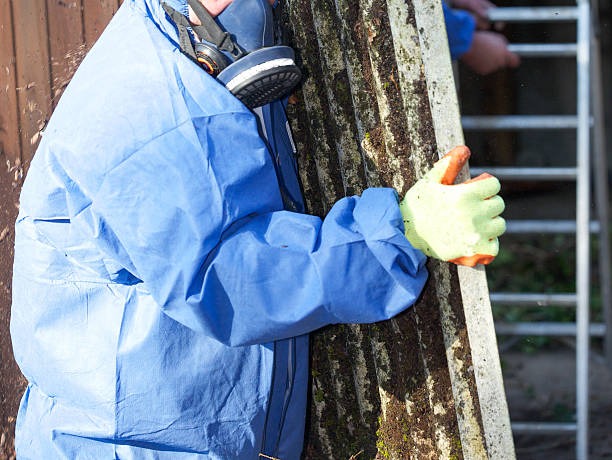 Supernova Asbestos Surveys Your Partner in Safe Property Management