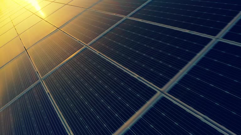 Best Solar Companies with Expert Installation Services