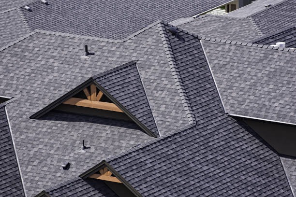 Affordable and Reliable Roofing Contractors in Auburndale Get a Free Quote Today